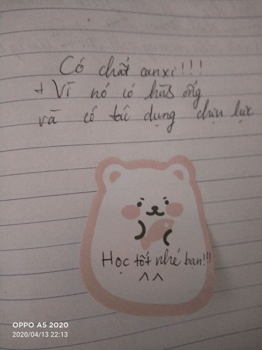 uong-co-tinh-dan-hoi-va-ran-chac-vi