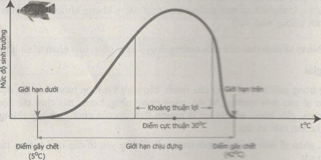 ve-do-thi-gioi-han-sinh-thai-cua-ca-chep-gioi-han-duoi-la-20-c-gioi-han-tren-la-44-c-diem-cuc-th