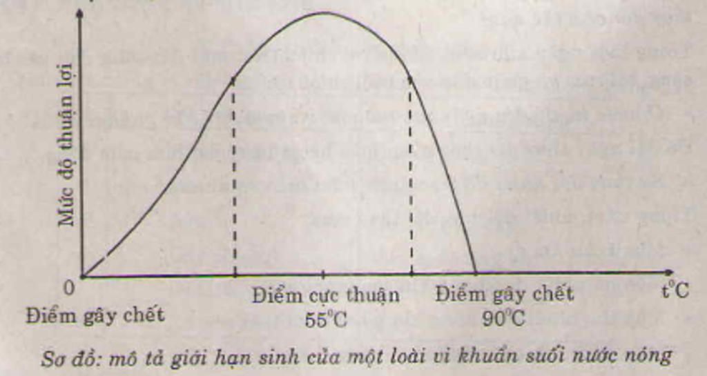 ve-do-thi-ve-gioi-han-sinh-thai-so-sanh-gioi-han-cua-hai-loai
