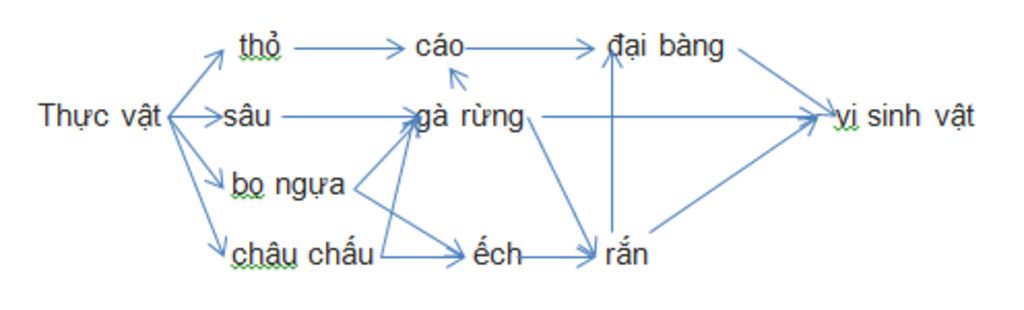 ve-luoi-thuc-an-tu-sinh-vat-da-cho-thuc-vat-bo-ngua-chau-chau-ga-rung-ran-ech-cao-tho-dai-bang-s