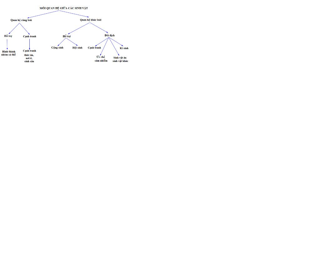 ve-moi-quan-he-khac-loai-giua-cac-sinh-vat