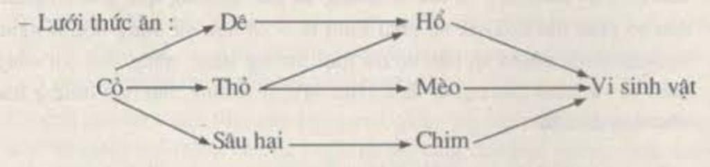 ve-so-do-chuoi-thuc-an-co-lua-chuot-ran-cay-vi-sinh-vat-sau-an-la