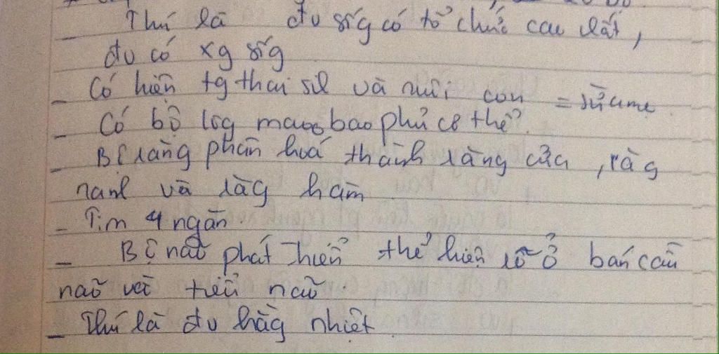 ve-so-do-dac-chung-lop-thu-vai-tro-cua-lop-thu-bang-so-do