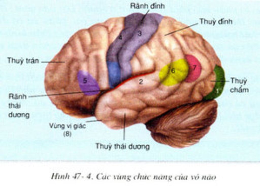 ve-so-do-dai-nao-am-ho-cai-mai-mik-ktra-1-tiet-roi-huhuhu-lam-ho-mik-dam-bao-tik-va-theo-doi-cho