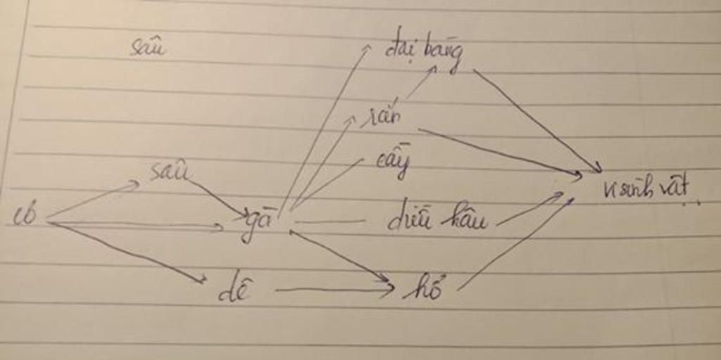 ve-so-do-luoi-thuc-an-cua-cac-sinh-vat-co-ga-de-ran-sau-cay-cao-dieu-hau-ho-dai-bang-visinh-vat
