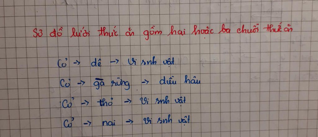 ve-so-do-luoi-thuc-an-gom-hai-hoac-ba-chuoi-thuc-an