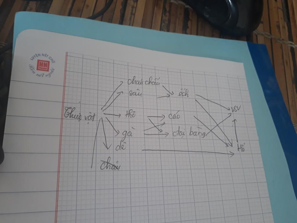 ve-so-do-luoi-thuc-an-moi-quan-he-ve-dinh-duong-cua-cac-sinh-vat-sau-trong-mot-he-sinh-thai-thuc