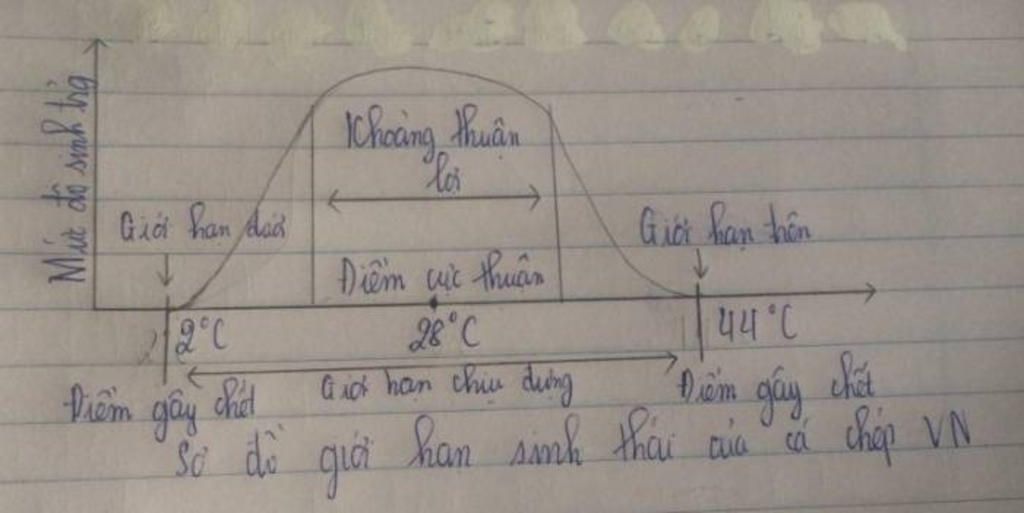 ve-so-do-mo-ta-gioi-han-sinh-thai-cua-ca-chep-viet-nam-co-gioi-han-nhiet-do-tu-2-c-den-44-c-tron