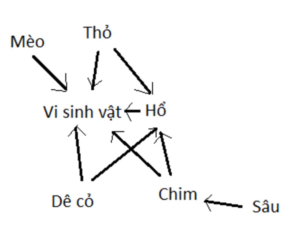 ve-so-do-mot-luoi-thuc-an-tu-cac-sinh-vat-tho-de-co-sau-ho-meo-chim-vi-sinh-vat