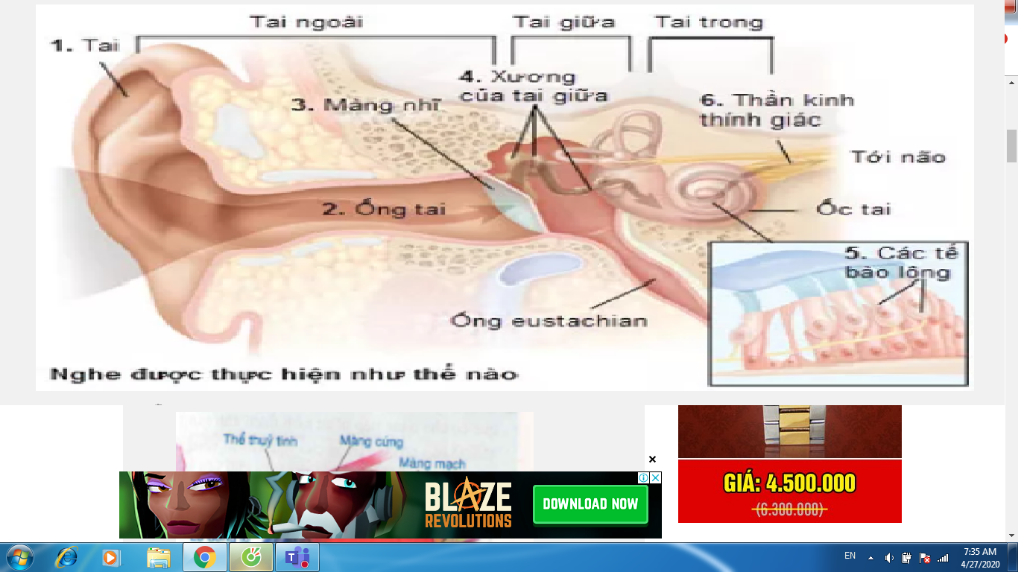 ve-so-do-thanh-phan-cau-tao-phan-tich-thinh-giac-giup-em-di-a-em-se-tick-cho-moi-nguoi