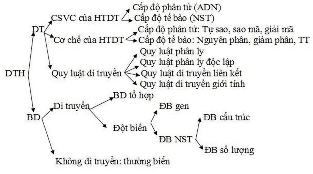 ve-so-do-tu-duy-3-chuong-dau-cua-sinh-hoc-lop-9