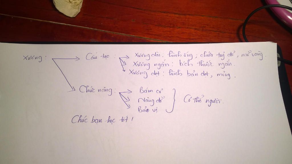 ve-so-do-tu-duy-cau-tao-va-tinh-chat-cua-uong