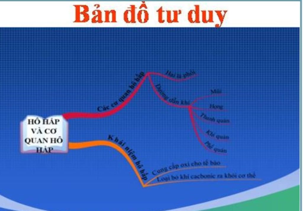 ve-so-do-tu-duy-cho-noi-dung-cua-bai-ho-hap-1-bai-mo-dau-cua-chuong-ho-hap-a-giup-em-voi