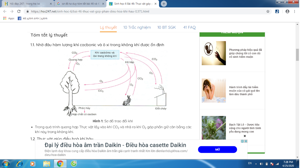 ve-so-do-tu-duy-tom-tat-bai-46-va-47-sach-giao-khoa-sinh-hoc-lop-8-help-mee-giups-minh-voi-moi-n