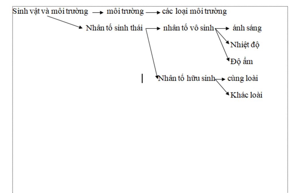 ve-so-do-tu-duy-tom-tat-lai-chuong-1-sinh-vat-va-moi-truong-sinh-hoc-9