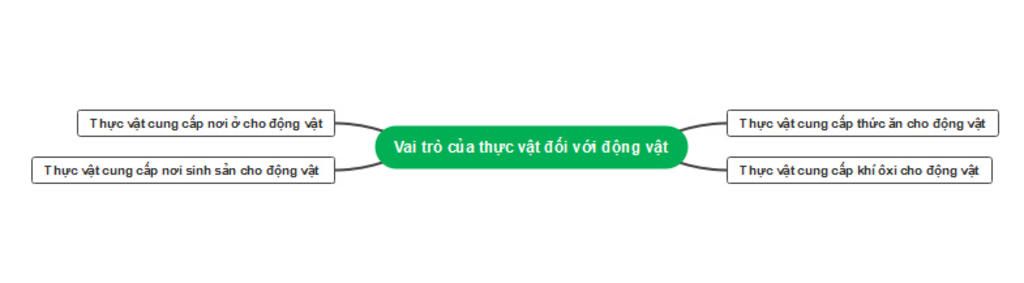 ve-so-do-tu-duy-vai-tro-cua-thuc-vat-voi-dong-vat