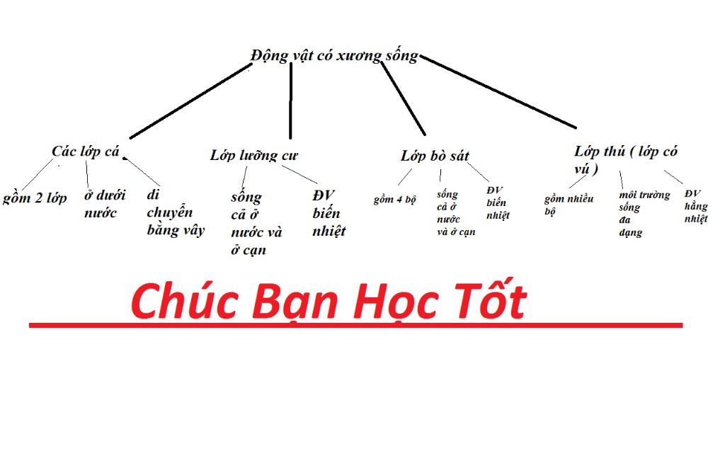 ve-so-do-tu-duy-ve-nganh-dong-vat-khong-uong-song-giup-minh-voi-minh-dang-can-gap