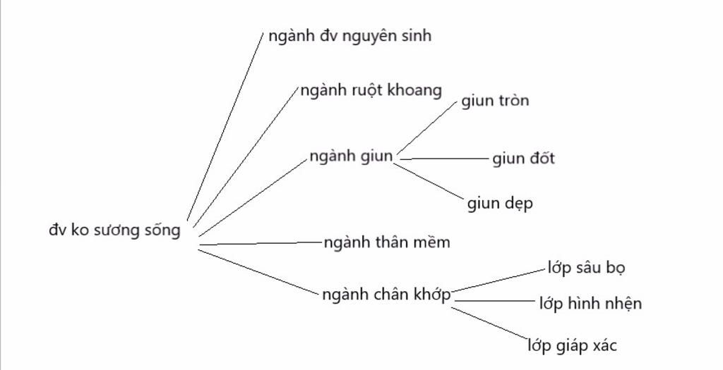 ve-so-do-tu-duy-ve-nganh-dv-ko-suong-song