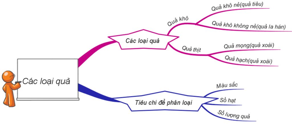 ve-so-do-tu-duy-ve-tong-ket-nhom-thuc-vat