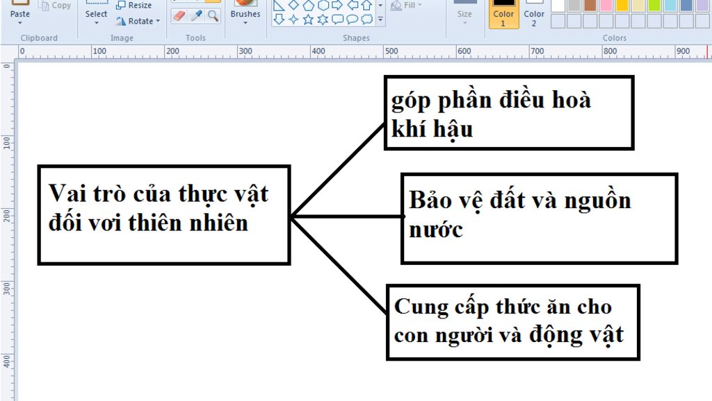 ve-so-do-tu-duy-ve-vai-tro-cua-thuc-vat