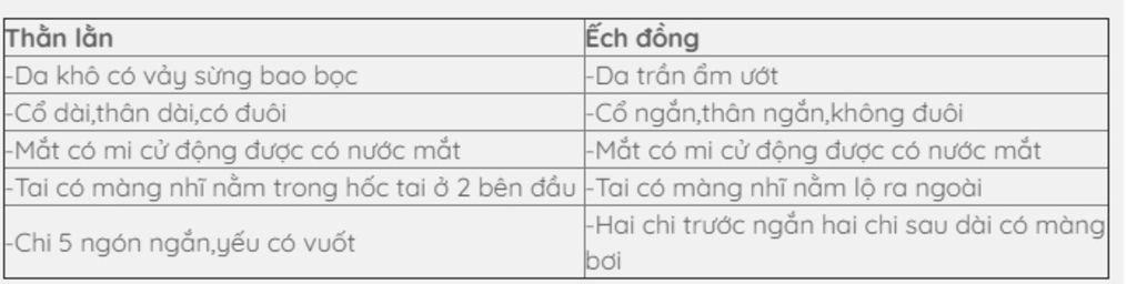 ve-so-do-vong-doi-cua-ech-va-than-lan-chi-ra-su-khac-nhau-cua-chung