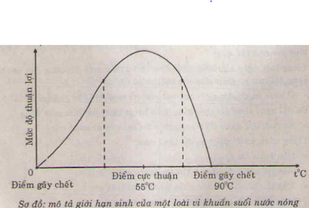 ve-va-phan-tich-so-do-mo-ta-gioi-han-sinh-thai-cua-mot-loai-sinh-vat