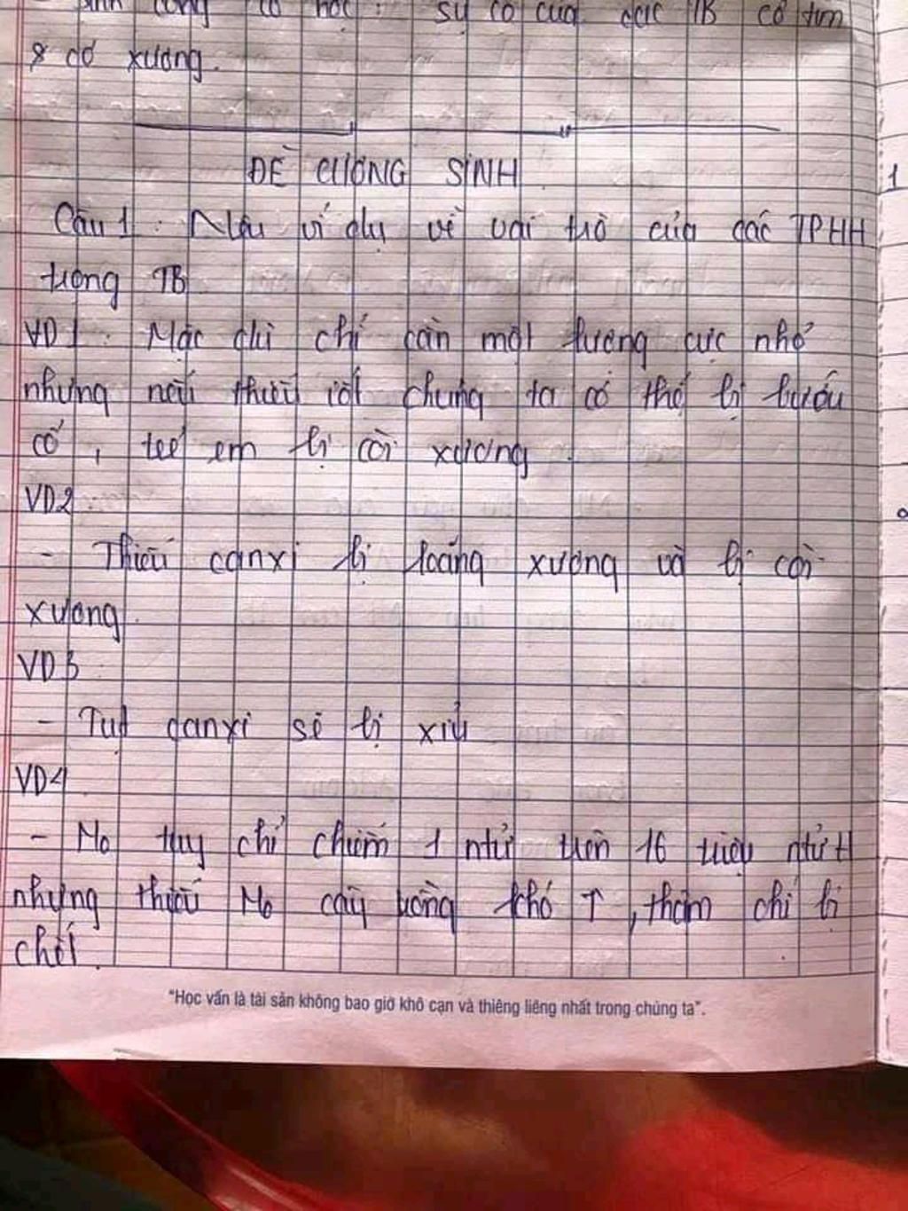vi-du-ve-vai-tro-cua-cac-thanh-phan-hoa-hoc-trong-te-bao