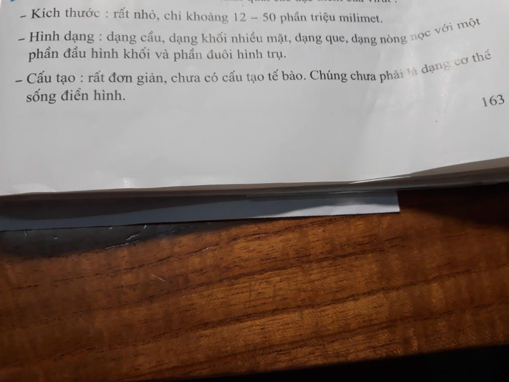 vi-rut-khac-vi-khuan-o-dac-diem-nao-help-me-hua-vote-5-sao