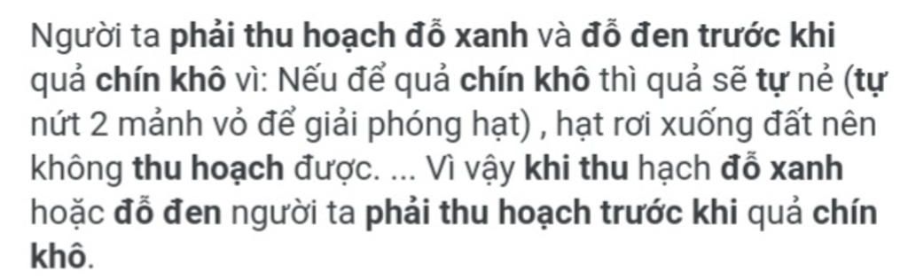 vi-sao-phai-thu-hoach-do-anh-do-den-truoc-khi-chin-kho-dac-diem-co-quan-sinh-san-cua-cay-thong