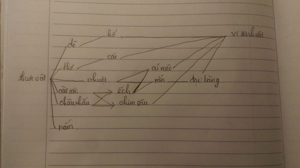 viet-1-luoi-thuc-an-co-15-mat-ich-trong-do-co-nhung-mat-ich-sau-cao-ech-nam