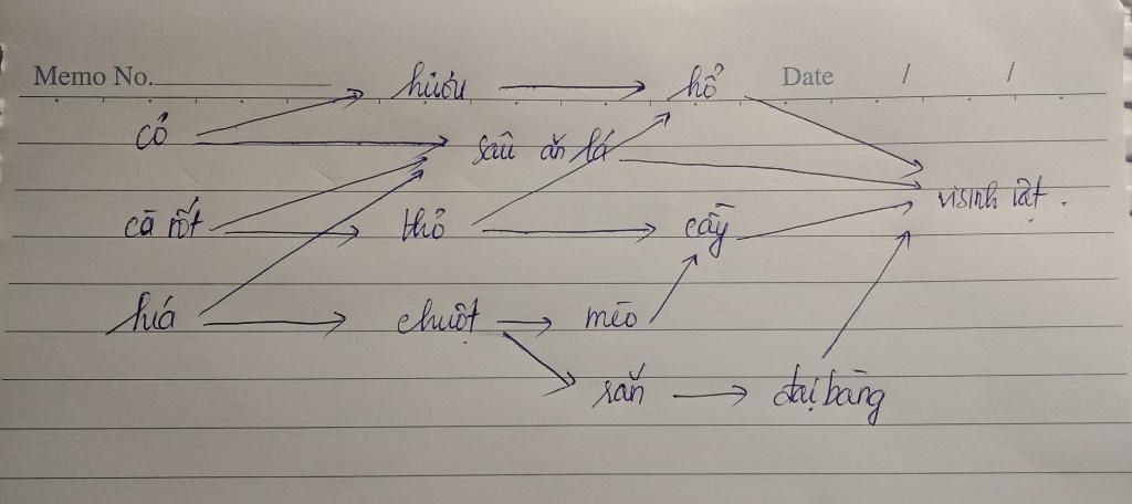 viet-hai-chuoi-thuc-an-va-mot-luoi-thuc-an-co-trong-he-sinh-thai-ruong-lua-ac-dinh-ro-sinh-vat-s