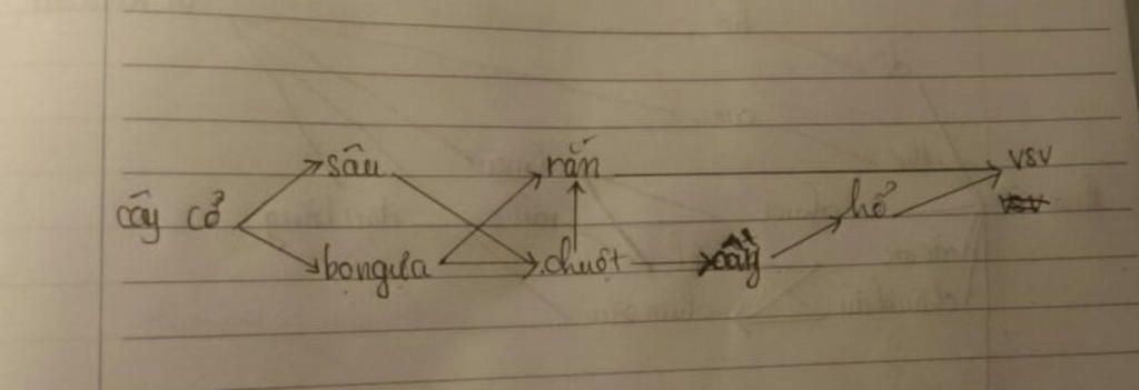 viet-luoi-thuc-an-co-the-co-sau-day-sau-cay-co-chuot-cay-bo-ngua-ran-vi-sinh-vat-ac-chet-ho