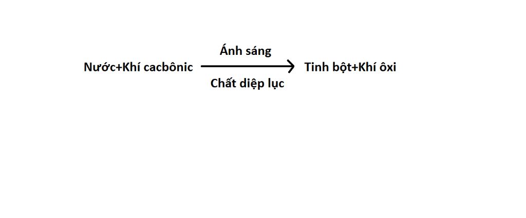 viet-so-do-quang-hop-va-neu-y-nghia-cua-quang-hop