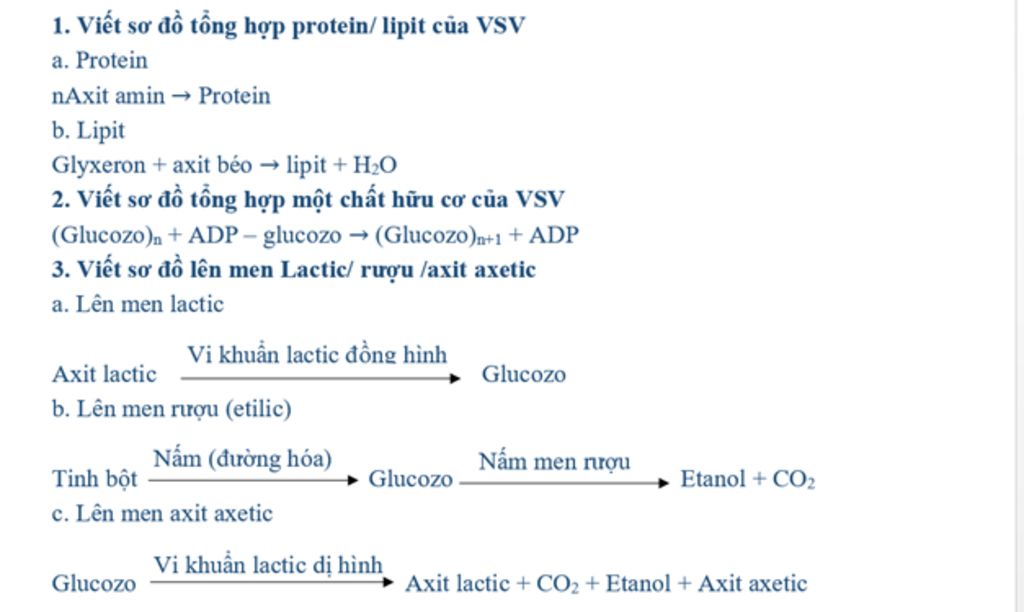 viet-so-do-tong-hop-protein-lipit-cua-vsv-viet-so-do-tong-hop-mot-chat-huu-co-cua-vsv-viet-so-do