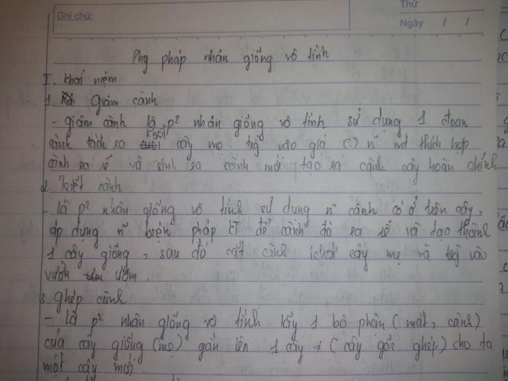 y-nghia-cua-phuong-phap-chiet-canh-va-nghep-canh
