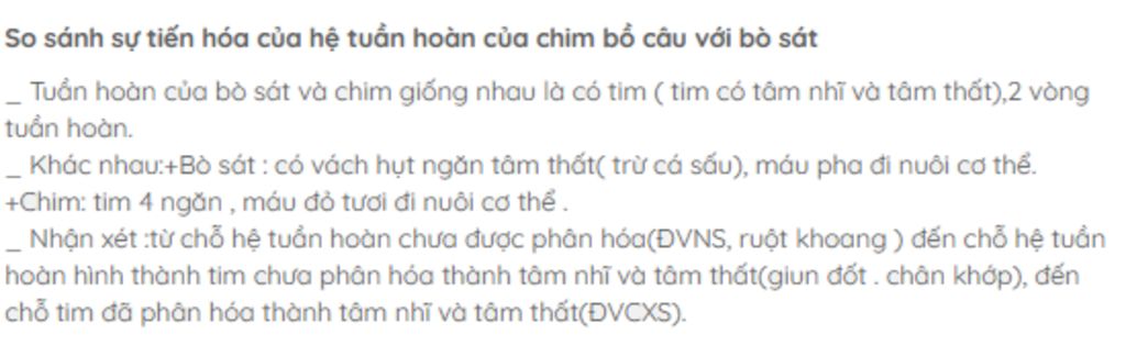 y-nghia-cua-su-tien-hoa-he-tuan-hoan-chim-bo-cau-so-voi-he-tuan-hoan-bo-sat