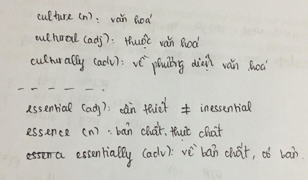 cho-mik-word-form-cua-tu-culture-va-assential-nha