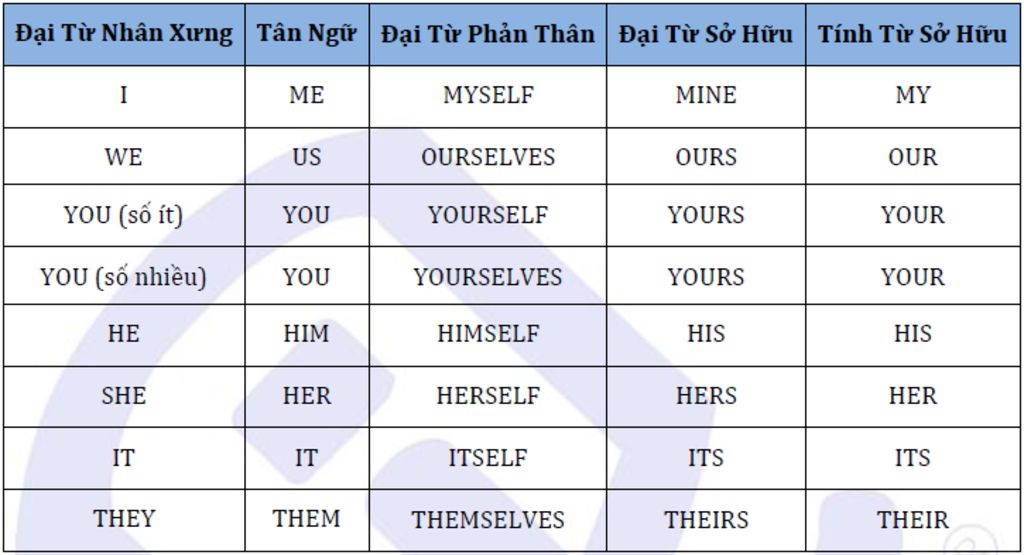 liet-ke-nhung-dai-tu-doi-nhu-he-his-va-cac-tu-trai-nghia-trong-so-sanh-hon-va-hon-nhat-nhu-cheap