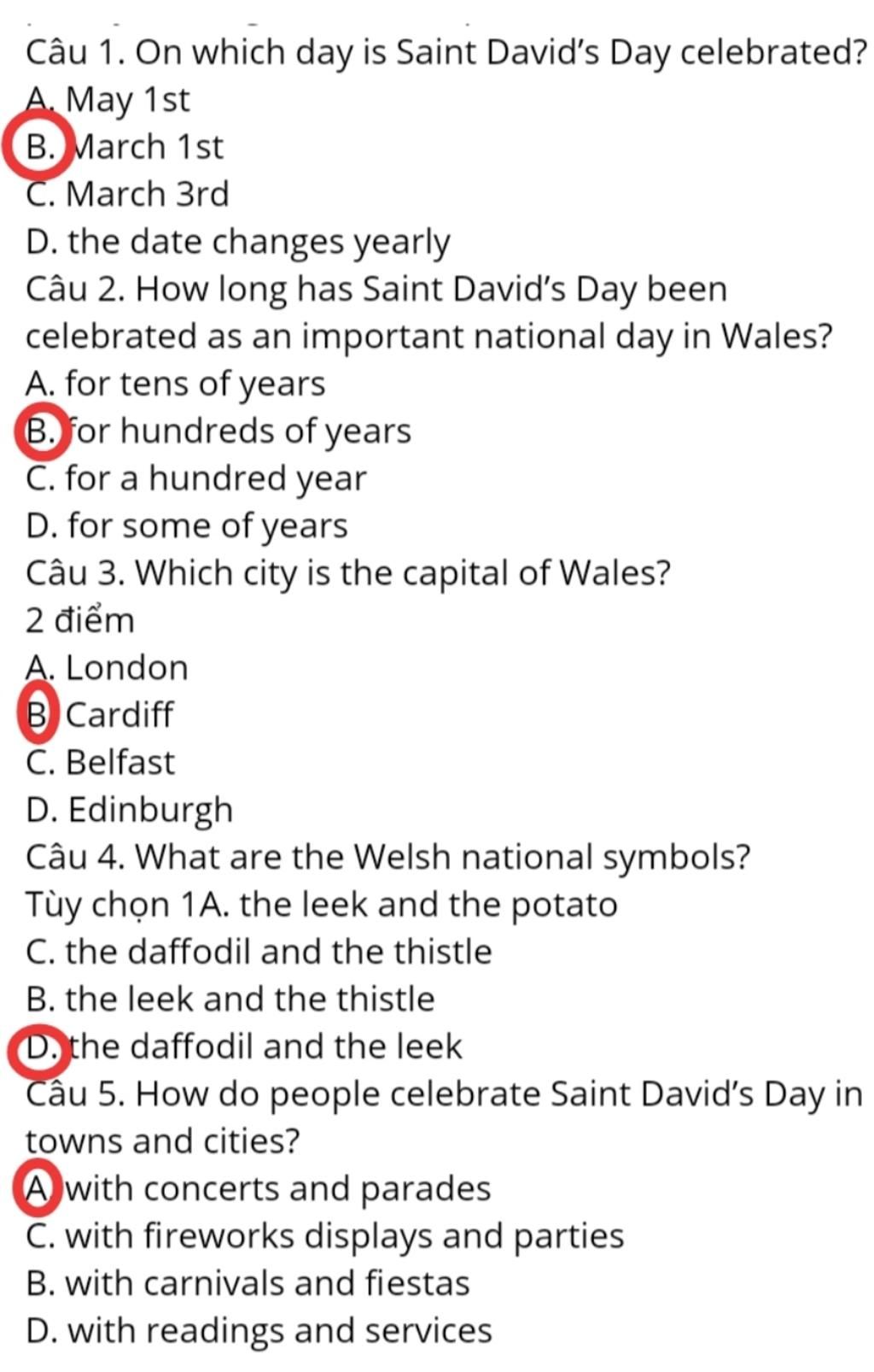 saint-david-s-day-saint-david-is-the-patron-saint-of-wales-st-david-was-a-christian-holy-man-and