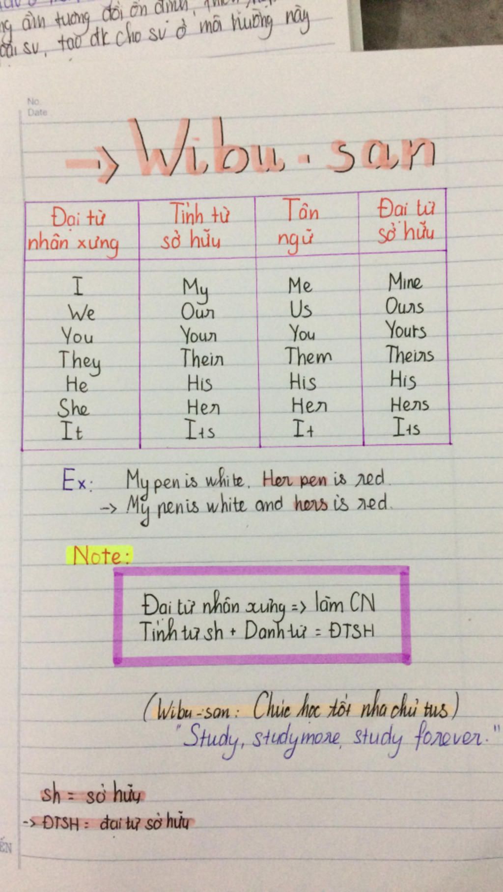 tom-tat-kien-thuc-ve-dai-tu-nhan-ung-dai-tu-so-huu-tinh-tu-so-huu-va-tan-ngu-cho-minh-voi-a-mai