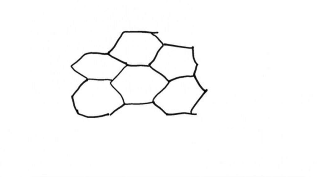 cach-ve-hinh-to-ong-nhanh-nha-mik-dang-can-gap