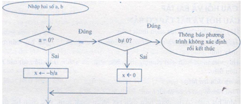 hay-viet-thuat-toan-giai-phuong-trinh-bac-nhat-a-b-0-va-de-uat-cac-tet-tieu-bieu