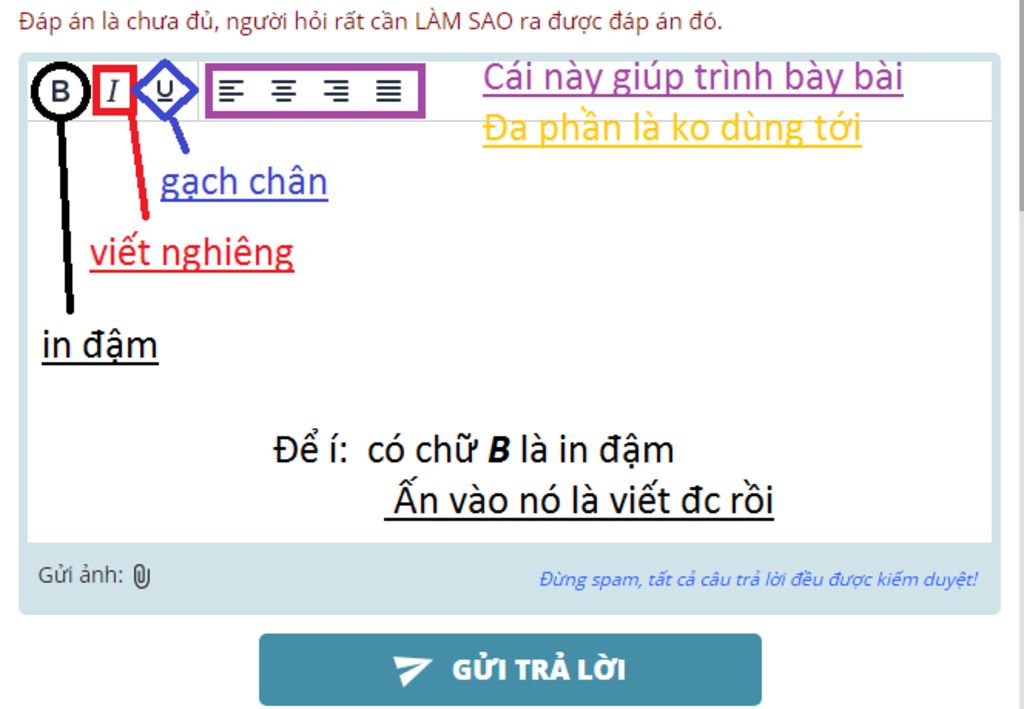 lam-sao-de-viet-chu-in-dam-trong-hoidap247-com-vay-a