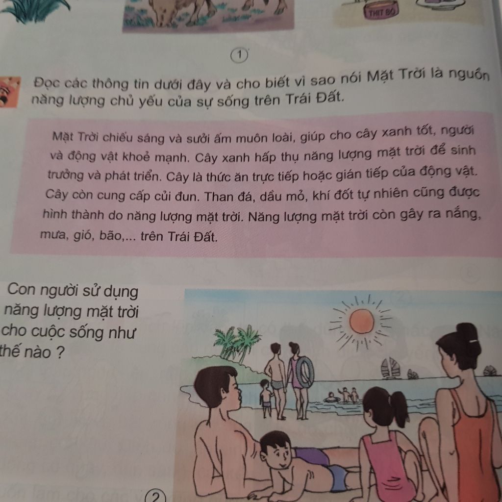 mat-troi-cung-cap-nang-luong-cho-trai-dat-o-nhung-dang-nao-khoa-hoc-lop-5-nhanh-nhe