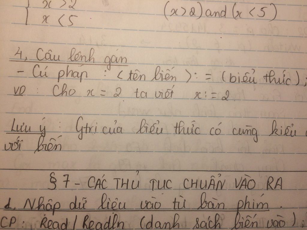 neu-vd-ve-cach-gan-gia-tri-cho-bien