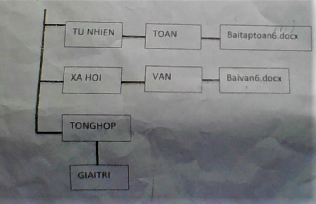 tap-quan-sat-va-viet-duong-dan-tu-thu-muc-cay