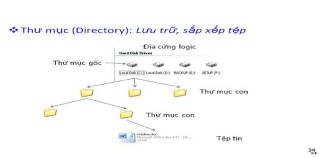 trinh-bay-cach-to-chuc-thu-muc-va-cay-thu-muc