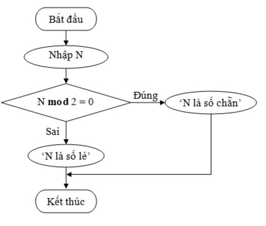 viet-chuong-trinh-kiem-tra-1so-nguyen-duong-m-la-so-chan-hay-so-le-input-ket-qua-ra-man-hinh
